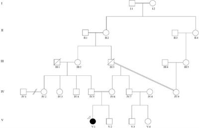 Case report: The evolving phenotype of ESCO2 spectrum disorder in a 15-year-old Malaysian child